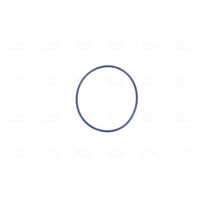 NISSENS 955005 - Cuerpo de mariposa