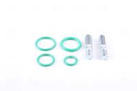 NISSENS 999250 - Válvula de expansión, aire acondicionado