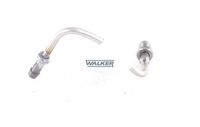 WALKER 10763 - Conducto a presión, sensor presión (filtro partículas)