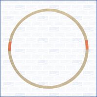 AJUSA 00216300 - Junta, camisa del cilindro