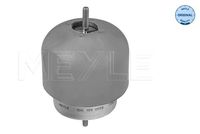 MEYLE 100 199 0058 - Soporte, motor