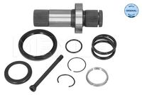 MEYLE 100 498 0250 - Palier, diferencial