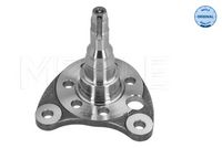 MEYLE 1005010012 - Muñón de eje, cuerpo del eje - MEYLE-ORIGINAL: True to OE.