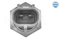 MEYLE 30-14 812 0002 - Sensor, temperatura del aire de admisión