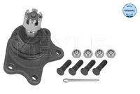 MEYLE 30160100005 - Rótula de suspensión/carga - MEYLE-ORIGINAL: True to OE.