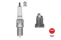 NGK 4669 - Bujía de encendido