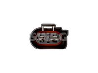 SWAG 30 94 0636 - Ventilador, refrigeración del motor