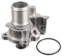 SWAG 33102574 - Termostato, refrigerante