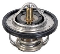 SWAG 33104991 - Termostato, refrigerante