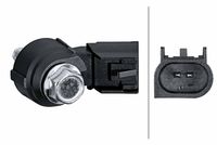 HELLA 6PG013114611 - Sensor de detonaciones