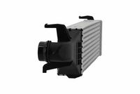 HELLA 8ML 366 471-021 - Radiador de aire de admisión