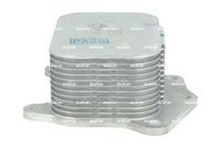 NRF 31174 - Radiador de aceite, aceite motor - EASY FIT