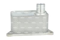 NRF 31173 - Radiador de aceite, aceite motor