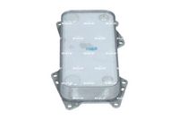 NRF 31203 - Radiador de aceite, aceite motor