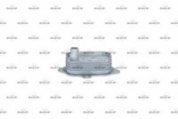 NRF 31807 - Radiador de aceite, aceite motor