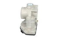 NRF 408004 - Cuerpo de mariposa