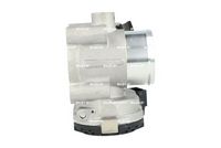 NRF 408036 - Cuerpo de mariposa