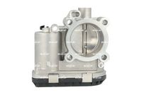 NRF 408043 - Cuerpo de mariposa