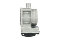 NRF 408061 - Cuerpo de mariposa