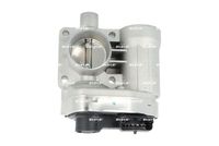 NRF 408066 - Cuerpo de mariposa