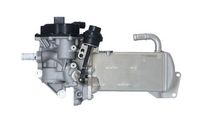 NRF 48202 - Válvula EGR