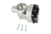 NRF 408019 - Cuerpo de mariposa