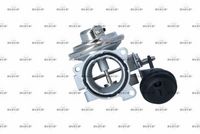 NRF 48625 - Válvula EGR