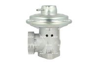 NRF 48693 - Válvula EGR