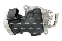 NRF 48735 - Válvula EGR