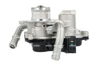 NRF 48743 - Válvula EGR