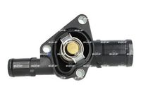 NRF 725009 - Termostato, refrigerante