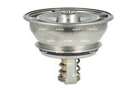 NRF 725013 - Termostato, refrigerante