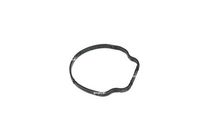 NRF 725092 - Termostato, refrigerante