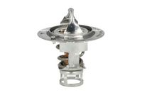 NRF 725142 - Termostato, refrigerante