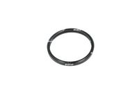 NRF 725174 - Termostato, refrigerante