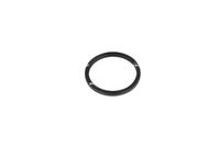 NRF 725205 - Termostato, refrigerante