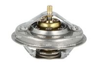 NRF 725210 - Termostato, refrigerante