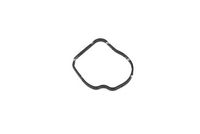 NRF 725258 - Termostato, refrigerante