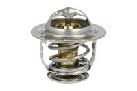 NRF 725286 - Termostato, refrigerante