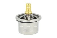 NRF 725354 - Termostato, refrigerante