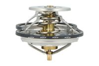 NRF 725378 - Termostato, refrigerante