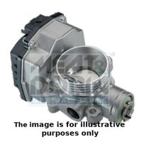 MEAT & DORIA 89045R - Cuerpo de mariposa