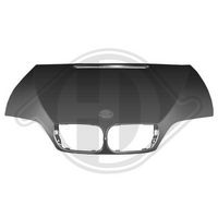 DIEDERICHS 1215000 - Capó del motor