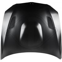 DIEDERICHS 1216205 - Capó del motor