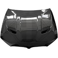 DIEDERICHS 1226500 - Capó del motor