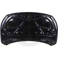 DIEDERICHS 1816000 - Capó del motor