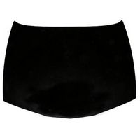 DIEDERICHS 2405000 - Capó del motor