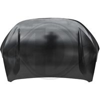 DIEDERICHS 4457000 - Capó del motor