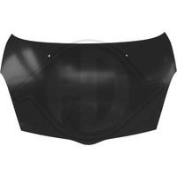 DIEDERICHS 6605200 - Capó del motor