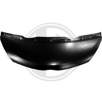 DIEDERICHS 6645000 - Capó del motor